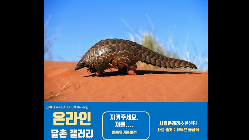 133b2903508d16cb16d6b3df3ade5c43_1603760699_1676.png
